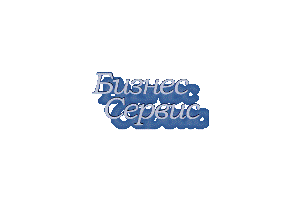 Логотип компании Бизнес-Сервис